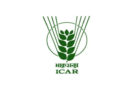 ICAR ने शुरू किया NSP-DBT सिस्टम, 6 हजार से अधिक छात्रों के खातों में सीधे पहुंची ₹21.35 करोड़ की छात्रवृत्ति
