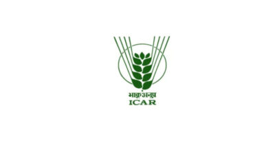विदिशा में आधुनिक खेती को बढ़ावा, ICAR वैज्ञानिक किसानों को सिखाएंगे उन्नत तकनीक; धान-बेर-टमाटर की नई किस्मों पर जोर  