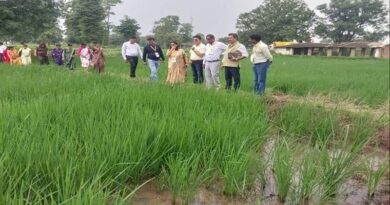 धान की खेती का बदलेगा तरीका, बालाघाट-सिवनी में DSR तकनीक से पानी बचाने और लागत घटाने पर जोर