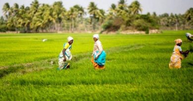 महाराष्ट्र के 6.36 लाख किसानों को बड़ी राहत, दूसरी किस्त में 5,086 करोड़ की कर्जमाफी