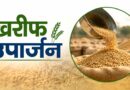 मध्यप्रदेश: खरीफ उपार्जन के लिए कृषक पंजीयन 15 सितंबर से होगा शुरू