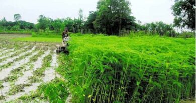 सागर: कृषि विभाग ने किया कीटनाशक एवं उर्वरक दुकानों का निरीक्षण