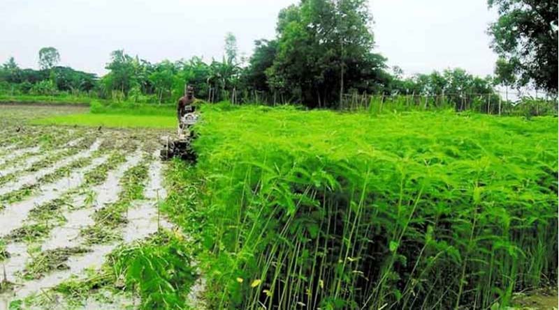 सागर: कृषि विभाग ने किया कीटनाशक एवं उर्वरक दुकानों का निरीक्षण