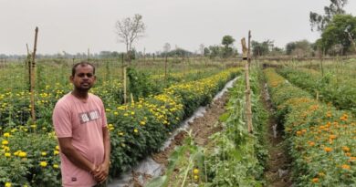 गेंदा फूल की खेती से बदली किसान हेमचंद साहू की किस्मत, 0.48 हेक्टेयर से कमाए 2 लाख रुपए
