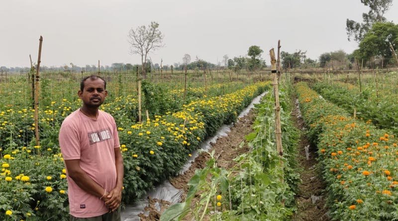गेंदा फूल की खेती से बदली किसान हेमचंद साहू की किस्मत, 0.48 हेक्टेयर से कमाए 2 लाख रुपए