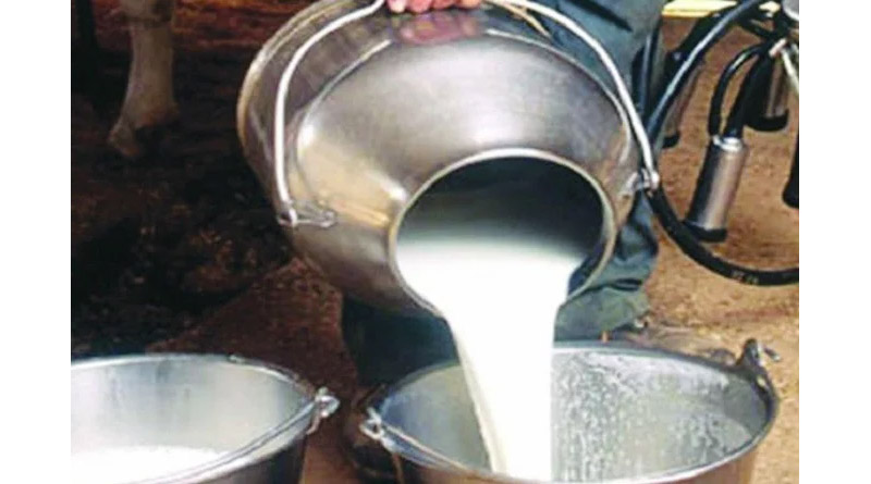 मध्यप्रदेश को मिल्क कैपिटल बनाने की तैयारी तेज, दुग्ध संकलन 27% बढ़ा; CM मोहन यादव ने दिए ये निर्देश
