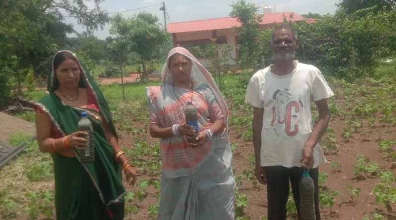 जबलपुर : प्रीति ने प्राकृतिक खेती से घटाई लागत, उपज का मिल रहा बेहतर दाम