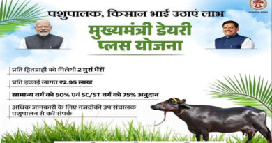 मुख्यमंत्री डेयरी प्लस योजना: 75% तक अनुदान पर मिलेंगी मुर्रा भैंसें, रोजाना 20 लीटर तक होगा दूध उत्पादन