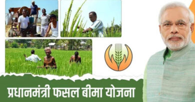 छत्तीसगढ़: फसल बीमा योजना पर किसानों का बढ़ा भरोसा, खैरागढ़-छुईखदान-गंडई में गैर-ऋणी किसानों की संख्या 186%