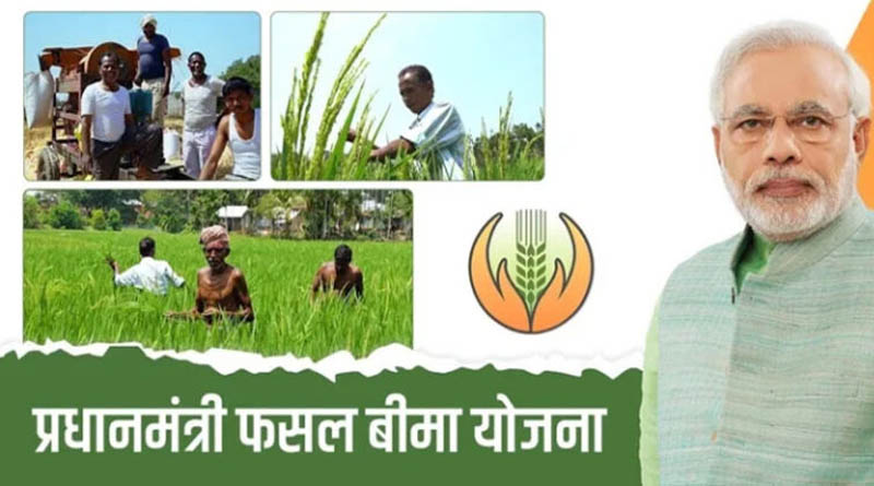 छत्तीसगढ़: फसल बीमा योजना पर किसानों का बढ़ा भरोसा, खैरागढ़-छुईखदान-गंडई में गैर-ऋणी किसानों की संख्या 186%