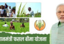 PM फसल बीमा योजना में राजस्थान ने बनाया रिकॉर्ड, 62.58 लाख किसान जुड़े; 18,189 करोड़ रुपये के दावों का हुआ भुगतान