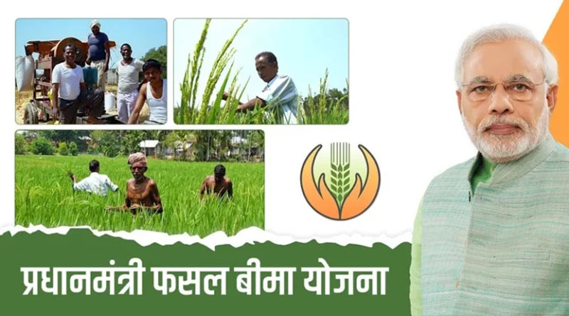 PM Fasal Bima Yojana: सोयाबीन, मक्का, तुअर और कपास का बीमा 15 अगस्त तक कराएं, जानें प्रीमियम