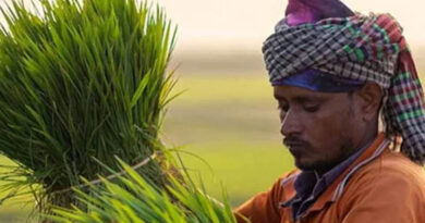 प्रधानमंत्री धन-धान्य कृषि योजना में डिंडौरी देश में अव्वल