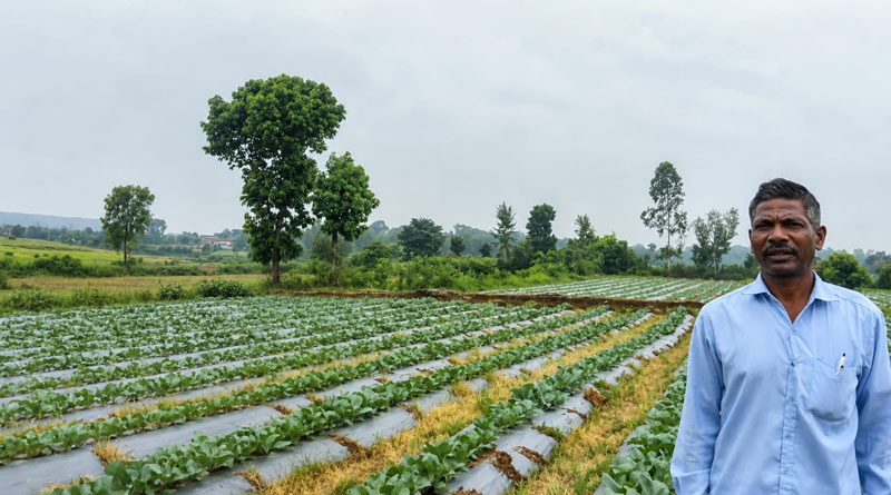 रायपुर: 55% अनुदान पर लगाई ड्रिप सिंचाई, अब कम लागत में हो रही सब्जियों की खेती; बढ़ा मुनाफा