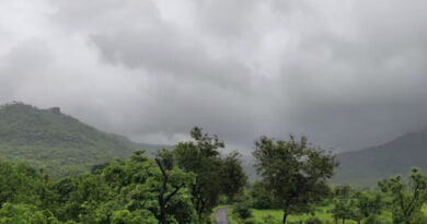 IMD Weather Update: गुजरात-केरल में आज भीषण बारिश का अलर्ट, उत्तराखंड-हिमाचल समेत कई राज्यों में अगले 7 दिन बरसेंगे बादल