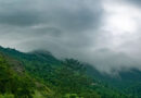 Weather Today: उत्तर से पूर्वोत्तर तक बारिश का जोर, UP-बिहार समेत कई राज्यों में अलर्ट; IMD ने जारी की चेतावनी