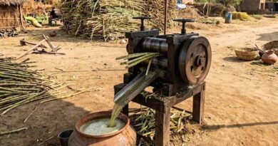 15 अक्टूबर से गन्ने की पेराई शुरू करने की सलाह : सकारात्मक पहल