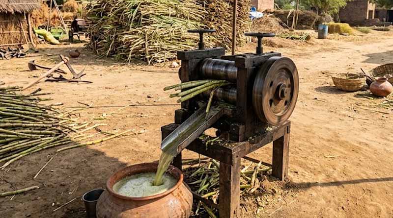 15 अक्टूबर से गन्ने की पेराई शुरू करने की सलाह : सकारात्मक पहल