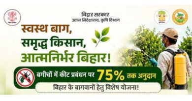 आम-अमरूद-लीची के पेड़ों पर कीटनाशक छिड़काव के लिए सरकार देगी 75% सब्सिडी, ऐसे करें आवेदन