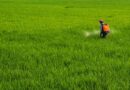 भारत में आठ नए कीटनाशकों को मंजूरी, 475वीं पंजीकरण समिति की बैठक में अहम फैसले
