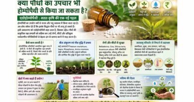 क्या पौधों का उपचार भी होम्योपैथी से किया जा सकता है?