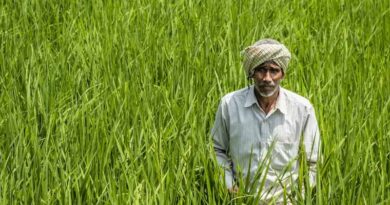 भारतीय कृषि 2026: उत्पादन, किसान, निर्यात और संबद्ध क्षेत्रों के 10 प्रमुख आंकड़े