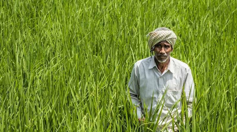 भारतीय कृषि 2026: उत्पादन, किसान, निर्यात और संबद्ध क्षेत्रों के 10 प्रमुख आंकड़े