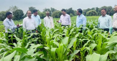 संयुक्त संचालक कृषि ने कृषि गतिविधियों का लिया जायजा