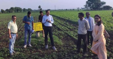दलहन आत्मनिर्भर मिशन में उड़द का निरीक्षण