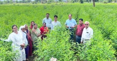 छिंदवाड़ा : दलहन निदेशालय के निदेशक ने किया अरहर फसल प्रदर्शनों का निरीक्षण