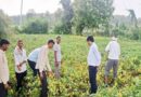 देवास : अधिकारियों ने किया सोयाबीन फसल का निरीक्षण