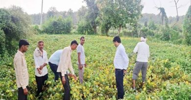 देवास : अधिकारियों ने किया सोयाबीन फसल का निरीक्षण