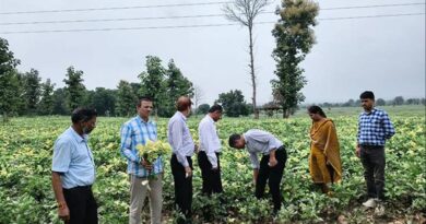 देवास: सोयाबीन फसल की स्थिति का जायजा लिया