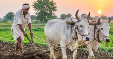 र्नाटक में सूखा प्रभावित किसानों को कर्ज चुकौती में 12 महीने की राहत