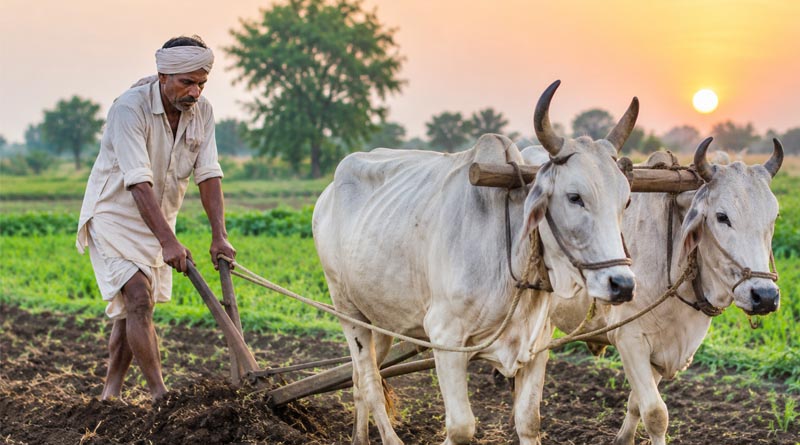 र्नाटक में सूखा प्रभावित किसानों को कर्ज चुकौती में 12 महीने की राहत