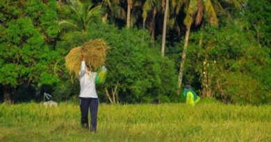 गुजरात में 63 लाख से ज्यादा किसानों ने कराया फार्मर रजिस्ट्री में पंजीकरण