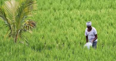 राजस्थान में किसान आईडी का 100% लक्ष्य पूरा, 90.19 लाख किसान रजिस्ट्री में शामिल