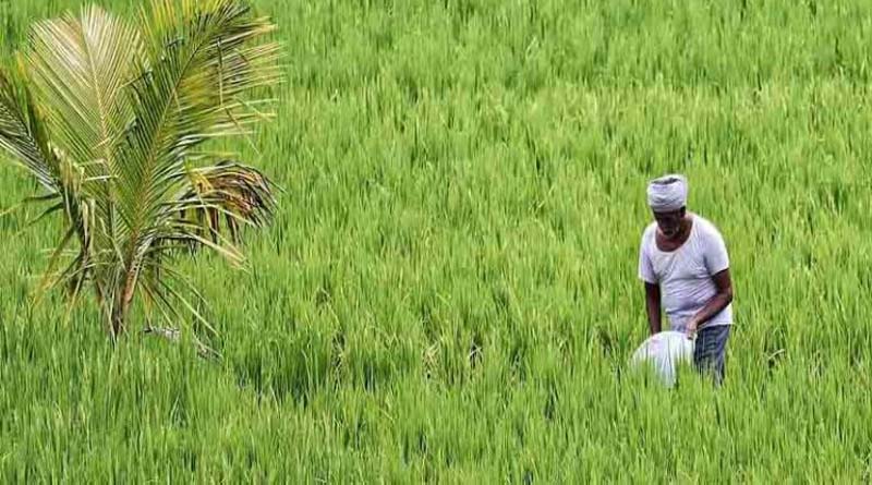 राजस्थान में किसान आईडी का 100% लक्ष्य पूरा, 90.19 लाख किसान रजिस्ट्री में शामिल