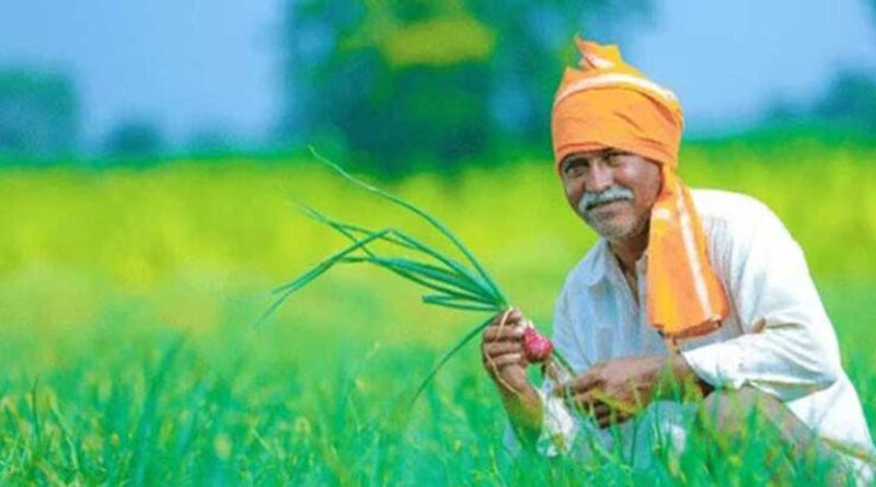 फार्मर आईडी नहीं बनी तो भी नहीं रुकेगी किसान सम्मान निधि, बिहार सरकार ने दी राहत