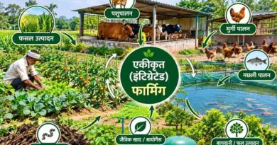 एकीकृत ( इंटिग्रेटेड ) फार्मिंग : जिसमें  कभी घाटा नहीं होगा