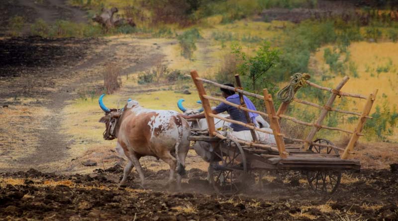 खेती की लागत घटाने की नई तैयारी, किसानों की आय बढ़ाने पर हरियाणा का जोर