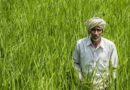 किसानों के संगठन अब बनेंगे मजबूत कारोबारी मंच, एफपीओ के लिए एफएमसीएएस इंडिया पोर्टल का शुभारंभ
