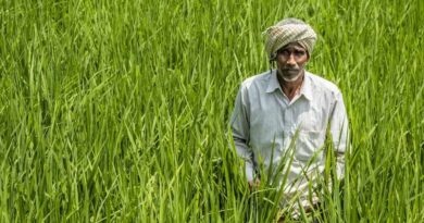 किसानों तक आधुनिक तकनीक पहुंचाएंगे KVK, 2027 तक 300 कृषि विज्ञान केंद्रों का होगा कायाकल्प