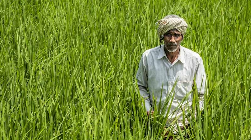 किसानों तक आधुनिक तकनीक पहुंचाएंगे KVK, 2027 तक 300 कृषि विज्ञान केंद्रों का होगा कायाकल्प