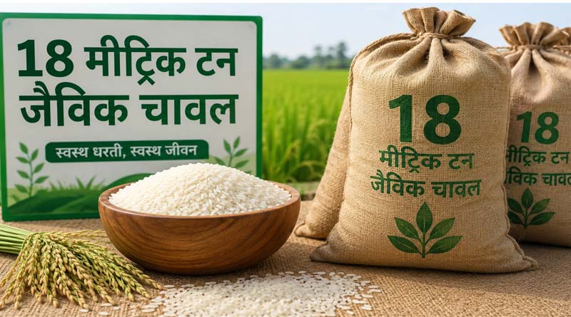 त्रिपुरा से ऑस्ट्रिया-नीदरलैंड भेजा गया 18 मीट्रिक टन जैविक चावल, किसानों को मिल सकता है 40% तक ज्यादा भाव
