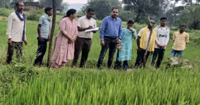 शहडोल: कृषकों को एकीकृत कीट व्याधि प्रबंधन की तकनीकी जानकारी दी