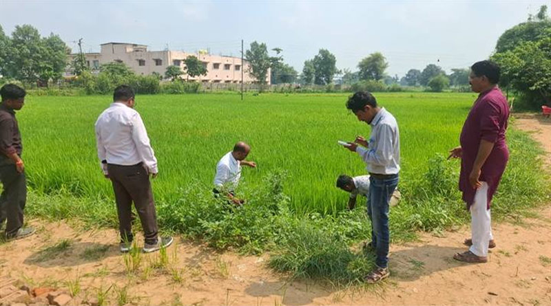 बालाघाट: जिला स्तरीय दल ने 21 गांवों में किया फसलों का निरीक्षण, किसानों को जैविक-रासायनिक उपचार की दी सलाह