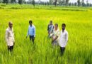 बालाघाट: कृषक चौपाल में प्राकृतिक खेती से कीट नियंत्रण की दी जानकारी