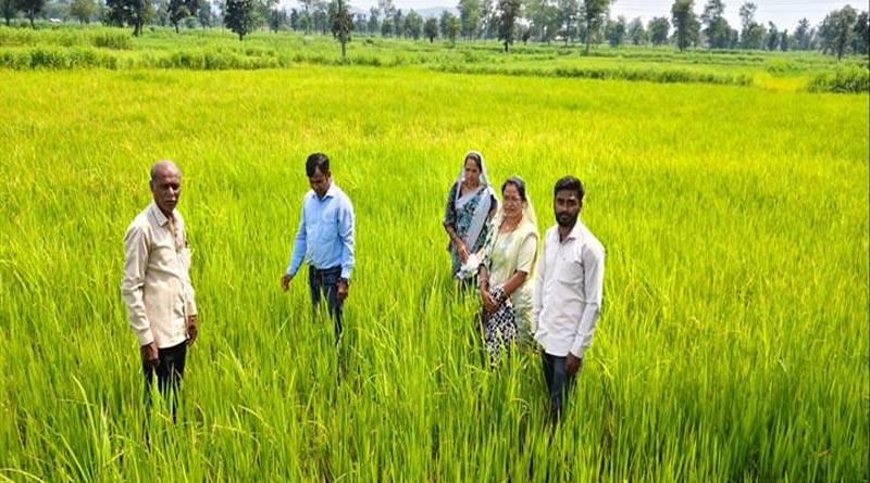बालाघाट: कृषक चौपाल में प्राकृतिक खेती से कीट नियंत्रण की दी जानकारी