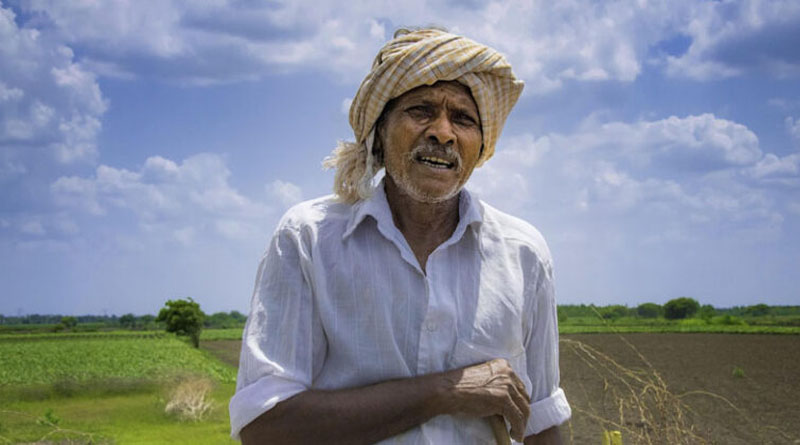 2 सितंबर को सीहोर में होगा बलराम कृषि महोत्सव, उन्नत बीज और प्राकृतिक खेती की लगेगी प्रदर्शनी